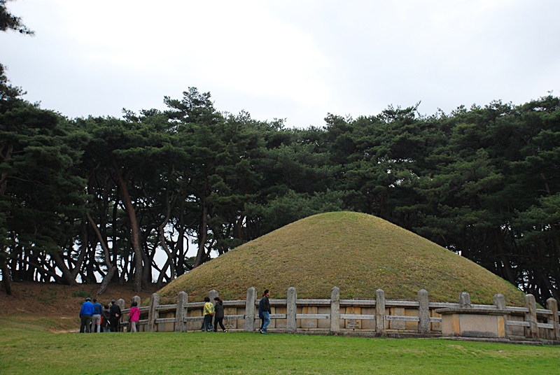 DSC_0337.JPG
