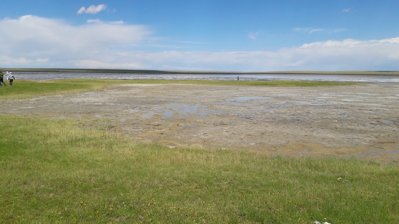 20160826_153503.jpg