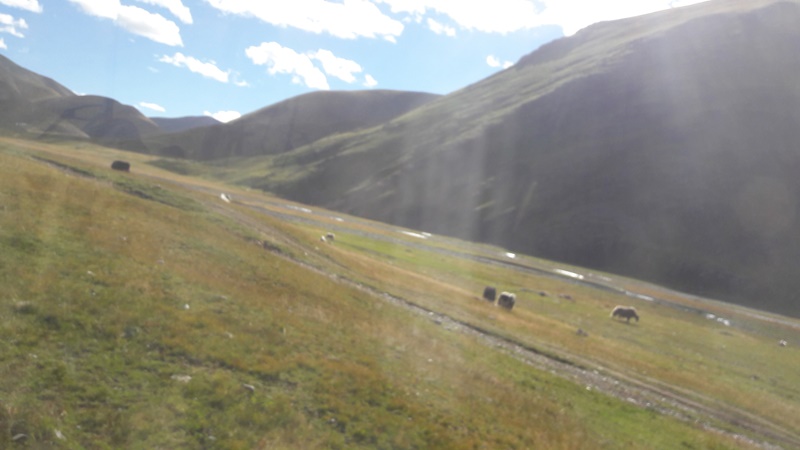 20160824_174505.jpg