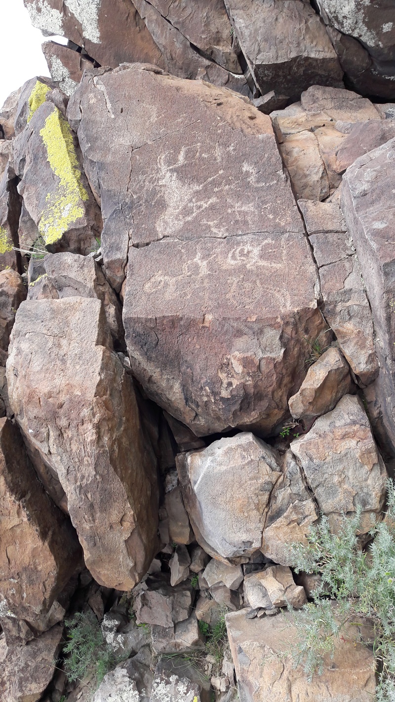 20160822_131944.jpg