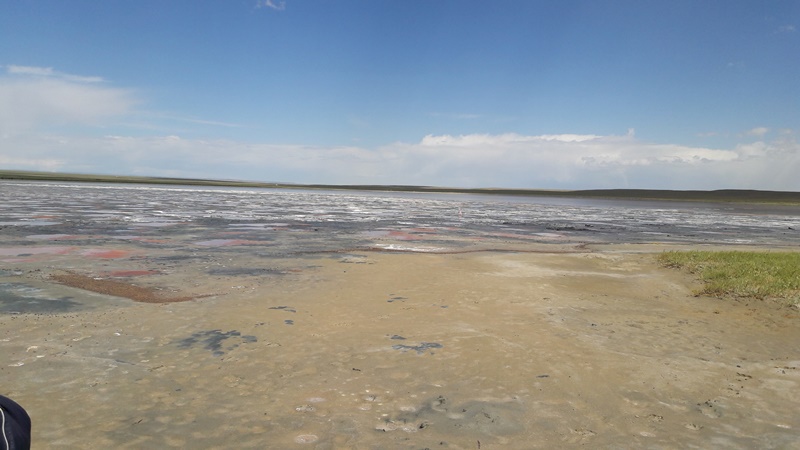 20160826_153827.jpg