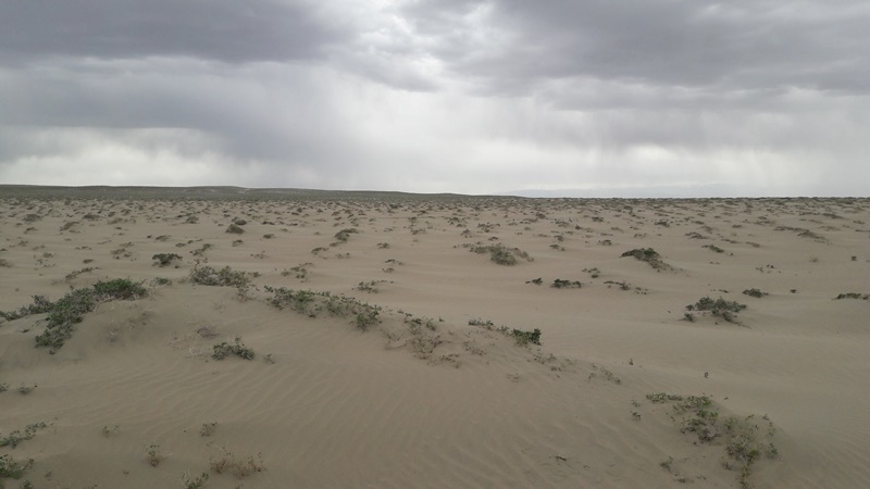 20160826_155801.jpg