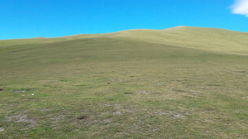 20160825_111827.jpg
