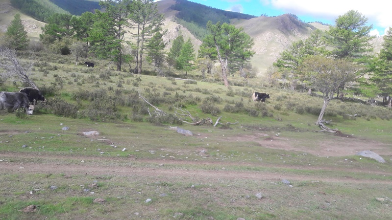 20160824_113349.jpg