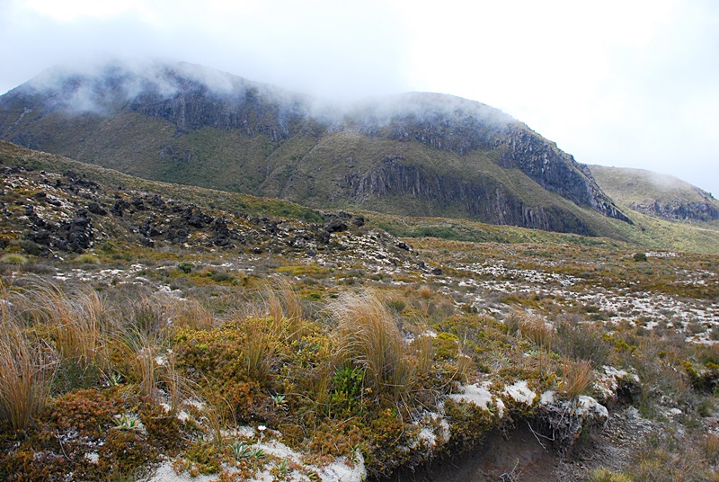 DSC_0776.JPG