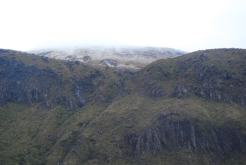 DSC_0784.JPG