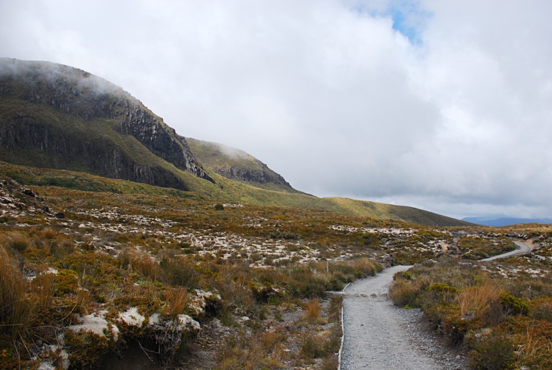 DSC_0777.JPG