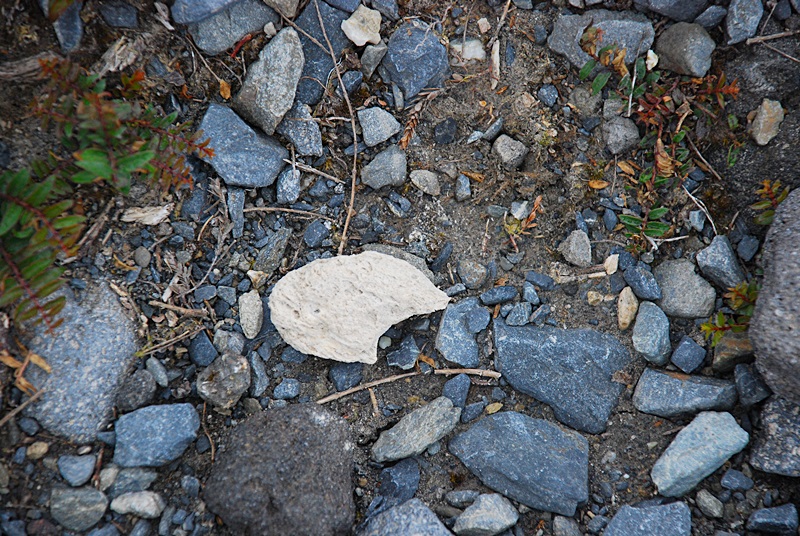 DSC_0681.JPG