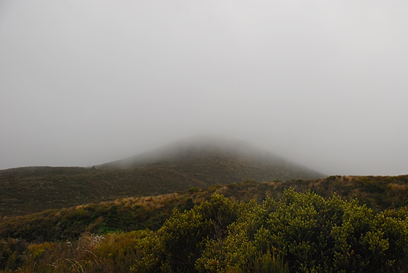 DSC_0636.JPG
