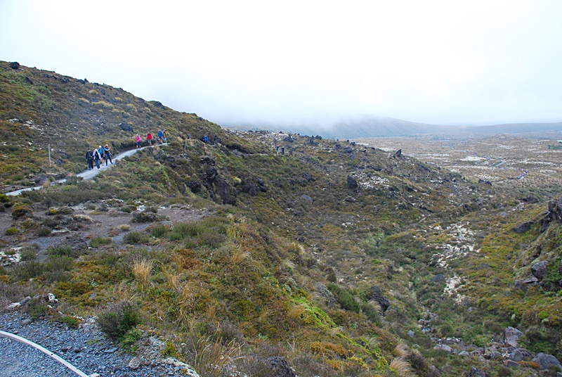 DSC_0738.JPG