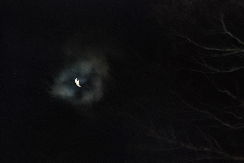 DSC_0841.JPG