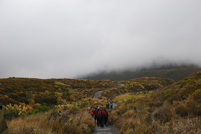 DSC_0672.JPG