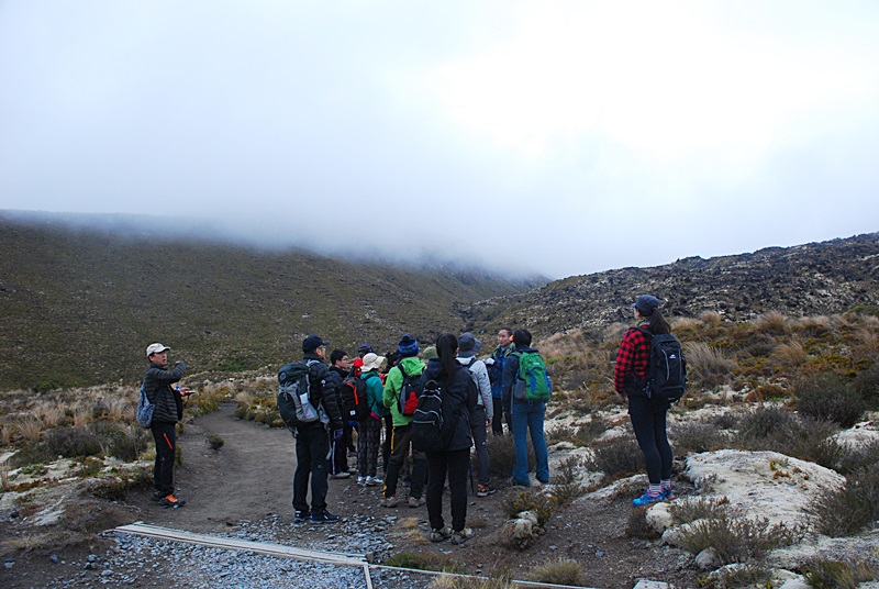 DSC_0705.JPG