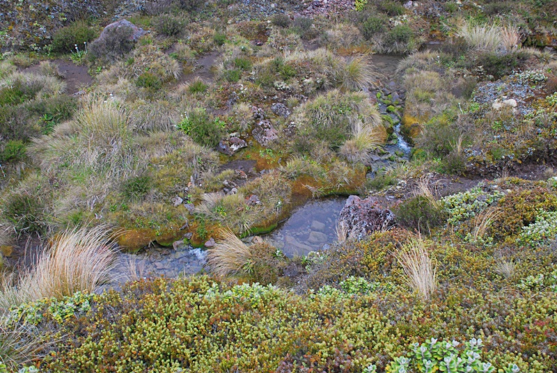 DSC_0748.JPG