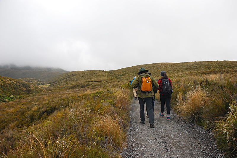 DSC_0666.JPG