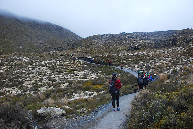 DSC_0722.JPG