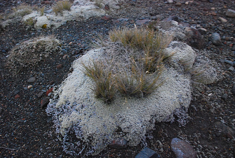 DSC_0624.JPG