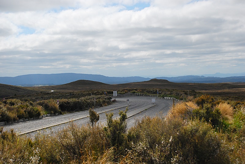 DSC_0825.JPG