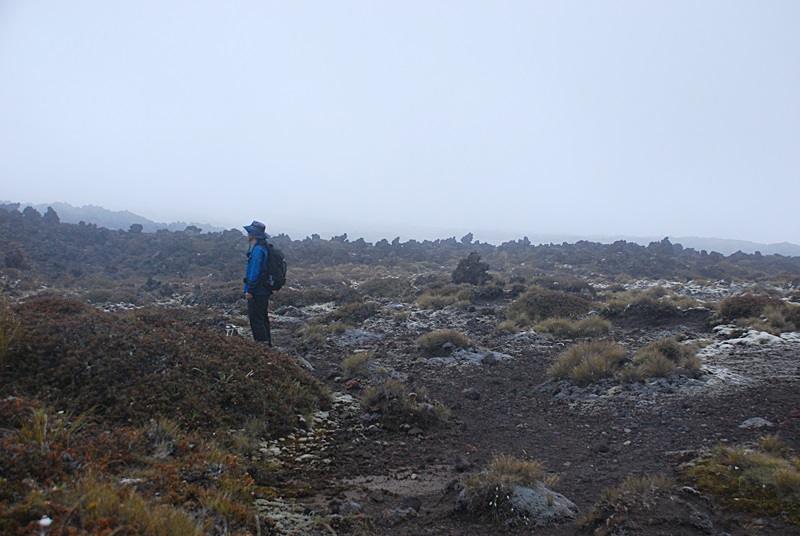 DSC_0759.JPG