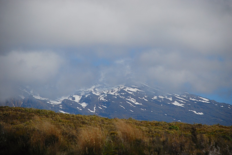 DSC_0824.JPG