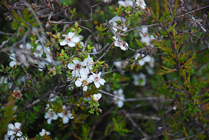 DSC_0693.JPG