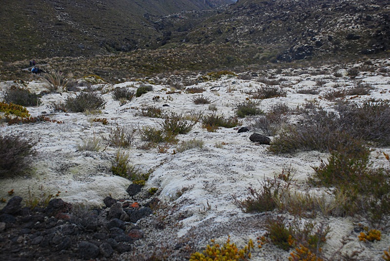 DSC_0720.JPG