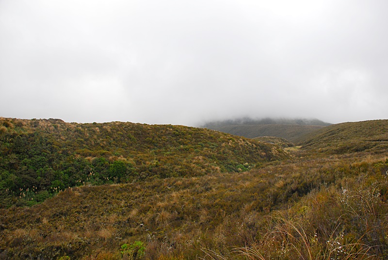 DSC_0665.JPG