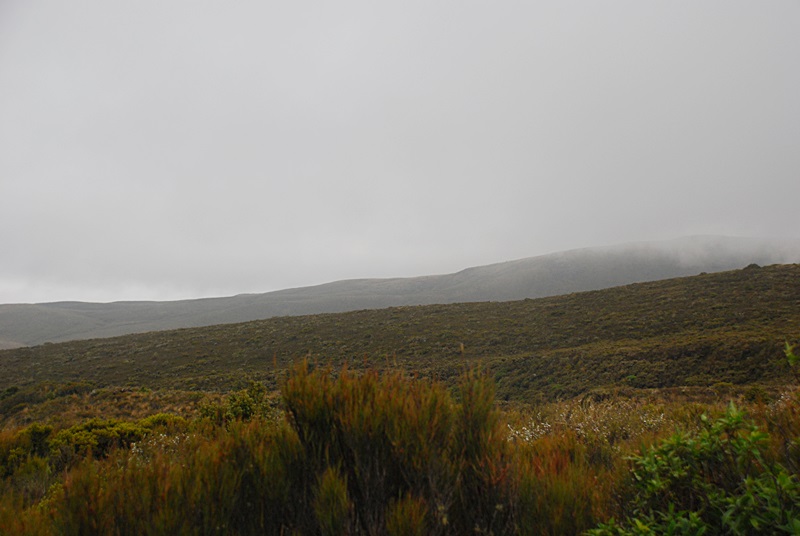 DSC_0635.JPG