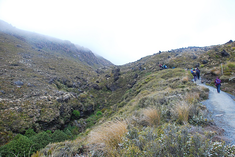 DSC_0727.JPG