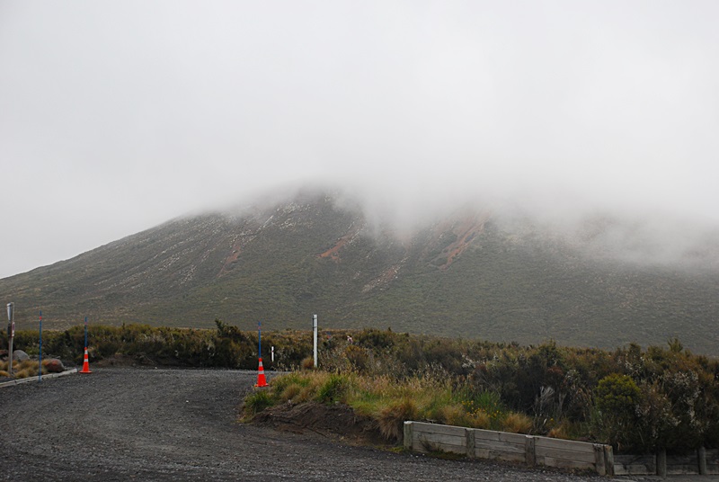 DSC_0644.JPG