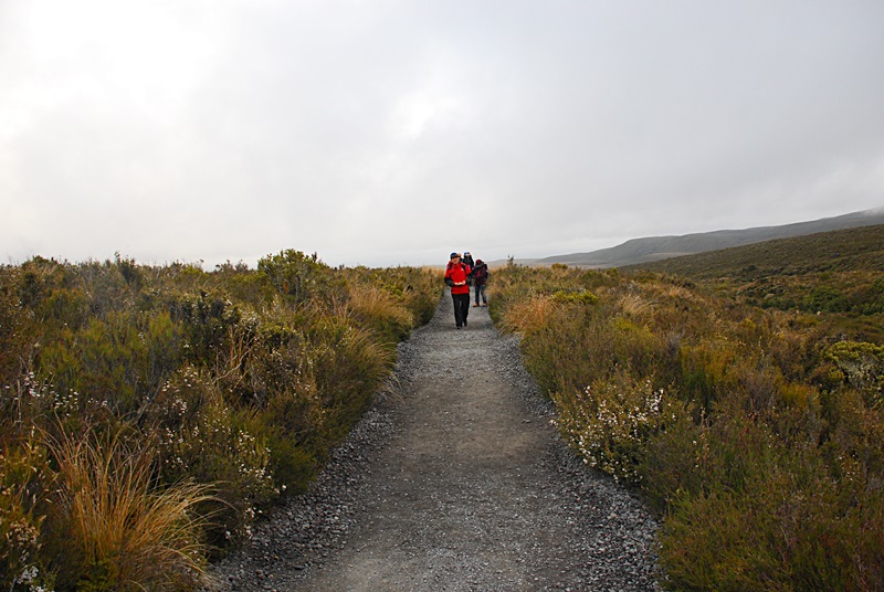 DSC_0667.JPG