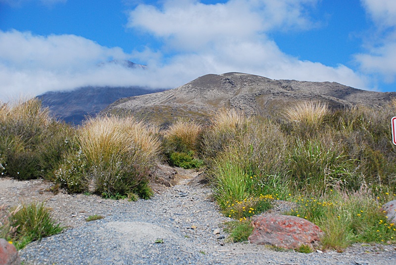DSC_0815.JPG