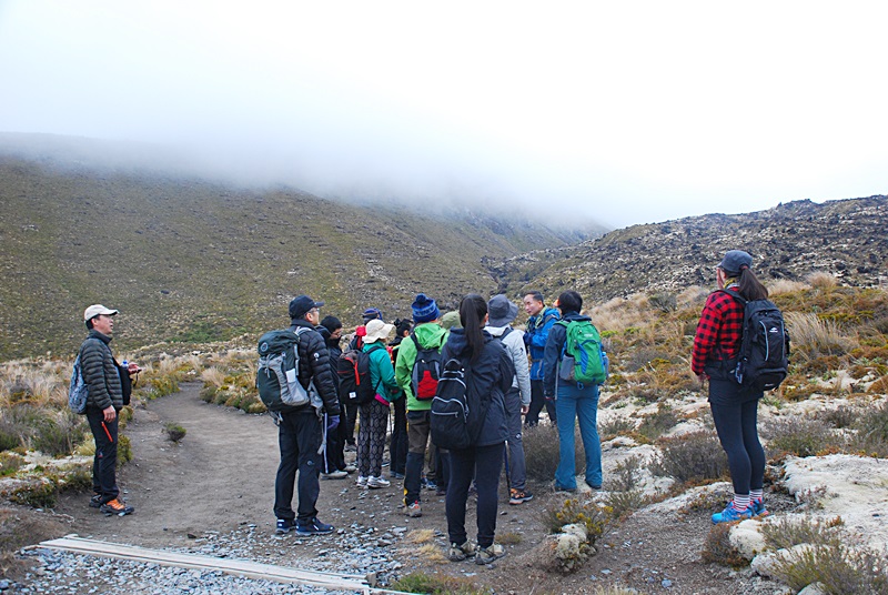 DSC_0706.JPG