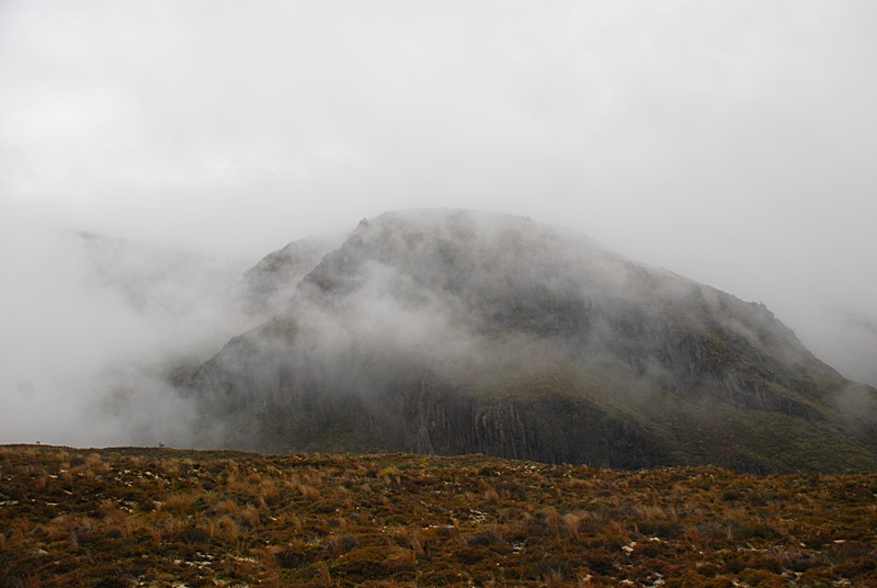 DSC_0699.JPG