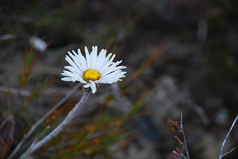 DSC_0691.JPG