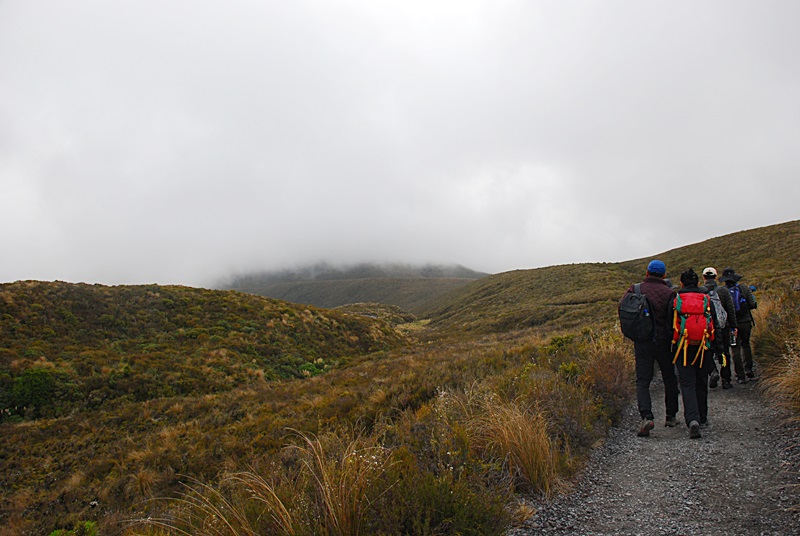 DSC_0664.JPG