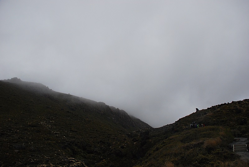 DSC_0728.JPG