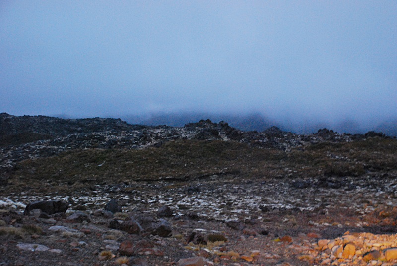 DSC_0620.JPG