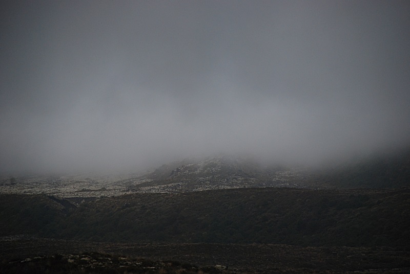 DSC_0684.JPG