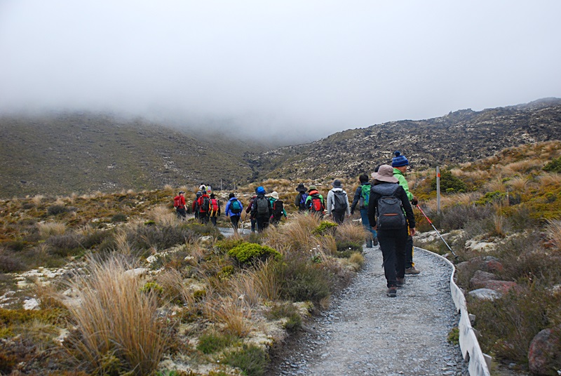 DSC_0704.JPG