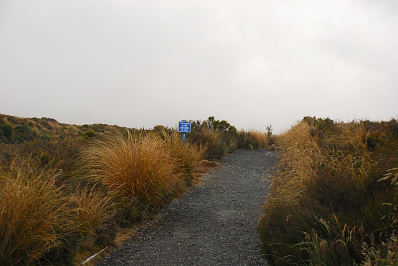 DSC_0638.JPG