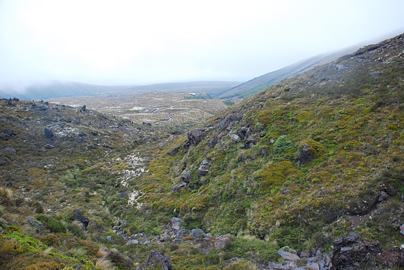 DSC_0739.JPG