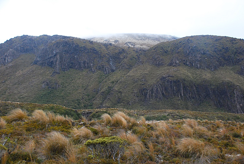 DSC_0785.JPG