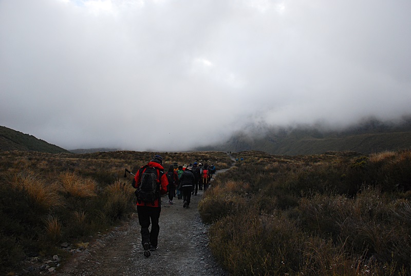 DSC_0675.JPG