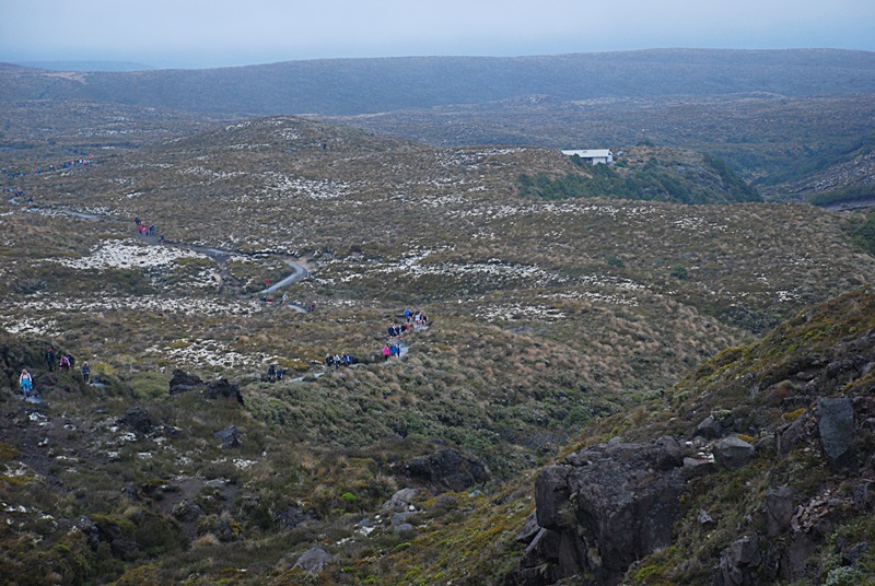 DSC_0740.JPG