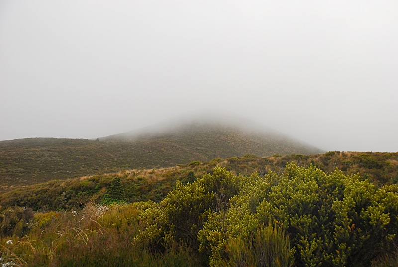 DSC_0637.JPG