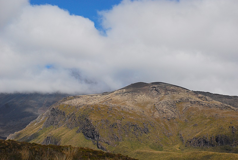 DSC_0826.JPG