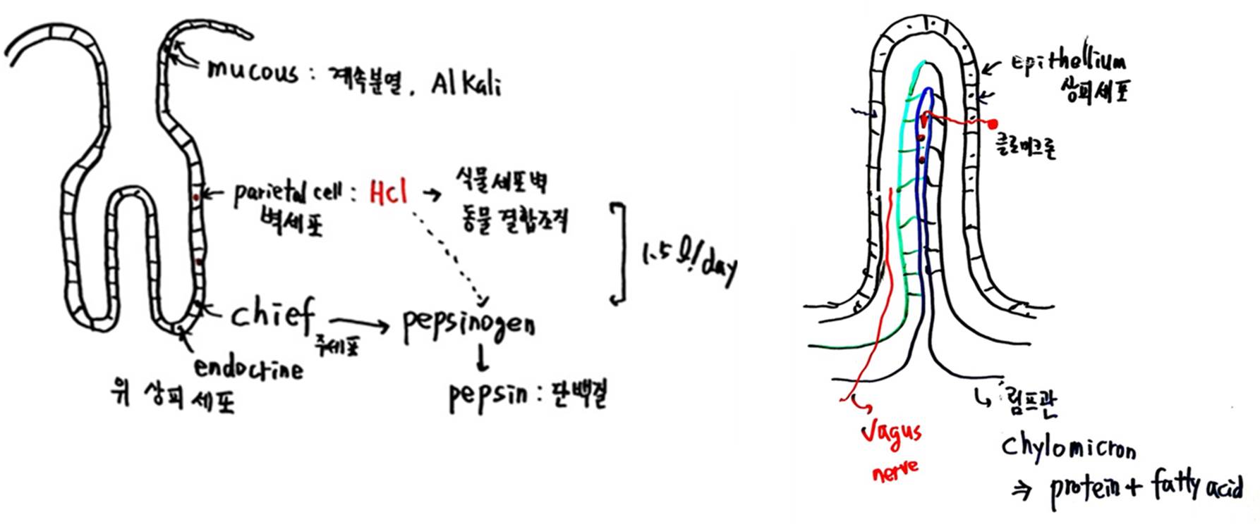 그림5.jpg