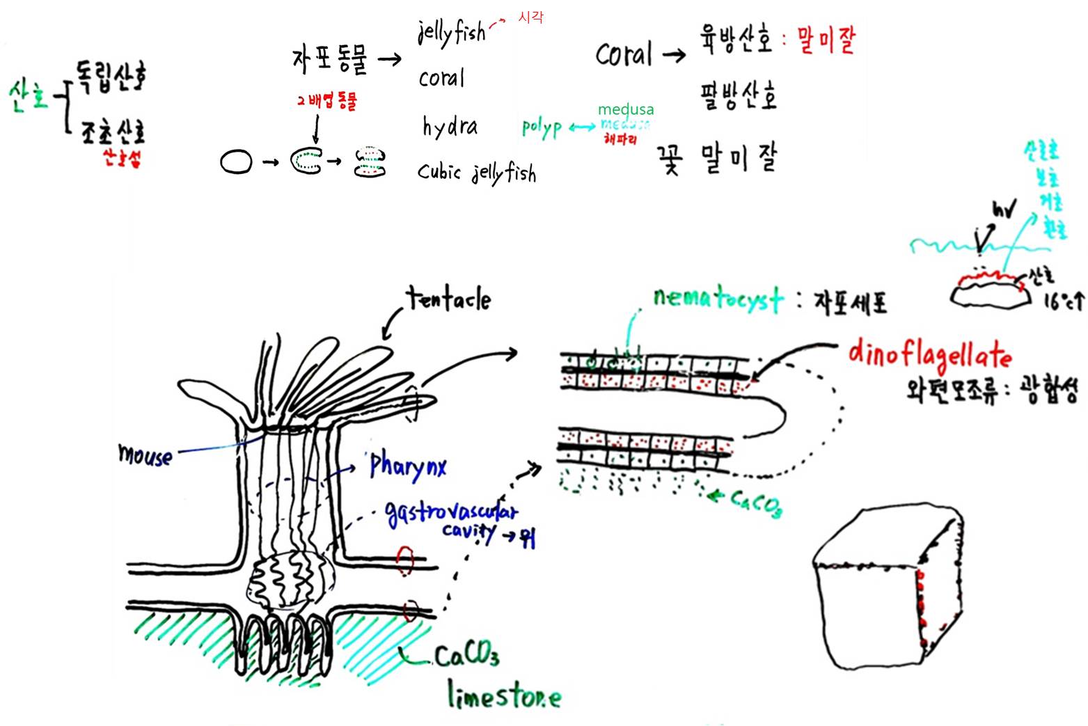 그림2.jpg