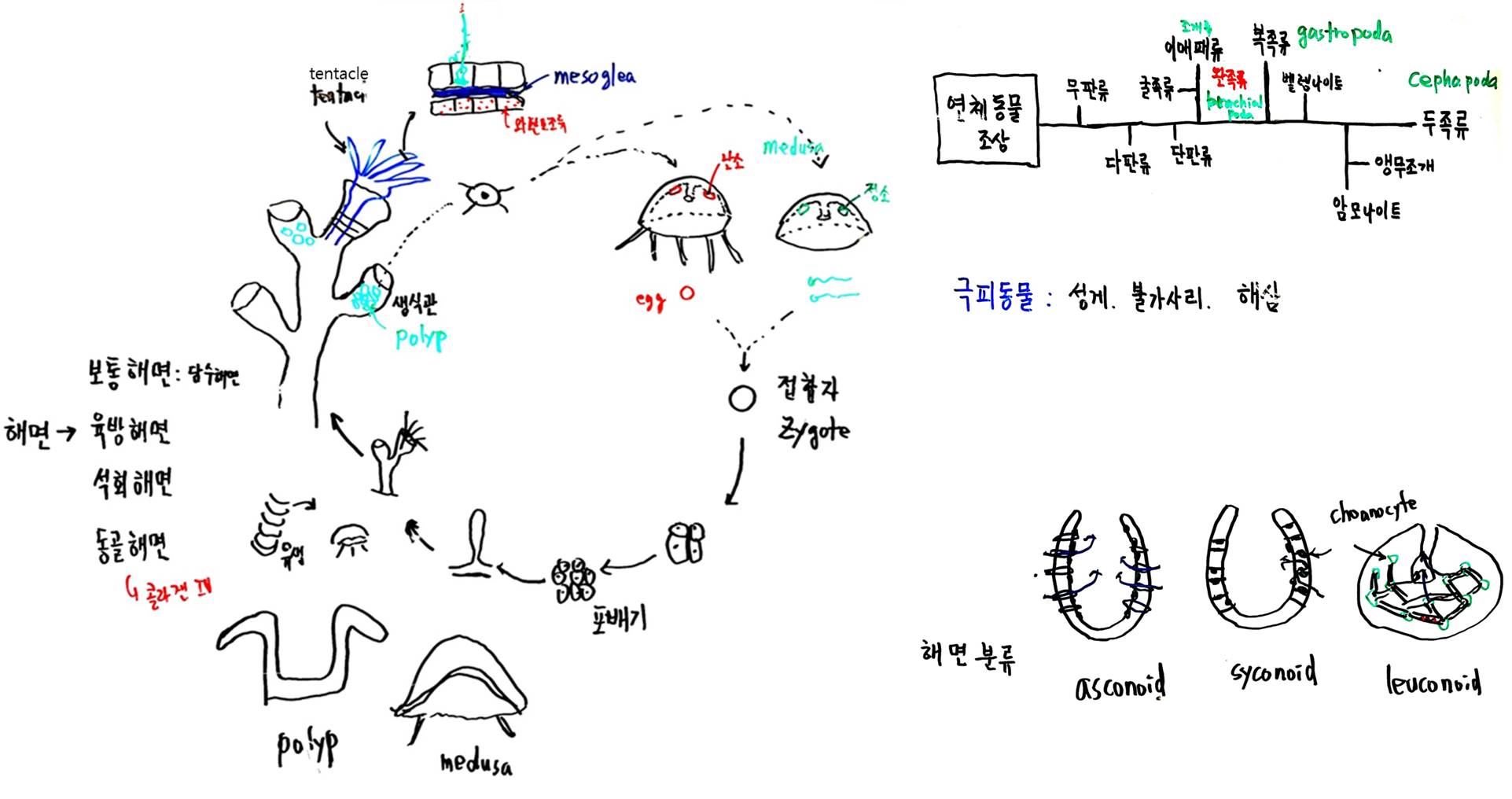 그림6.jpg